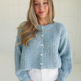 Lunsford Cardi Sweater - Sky Blue