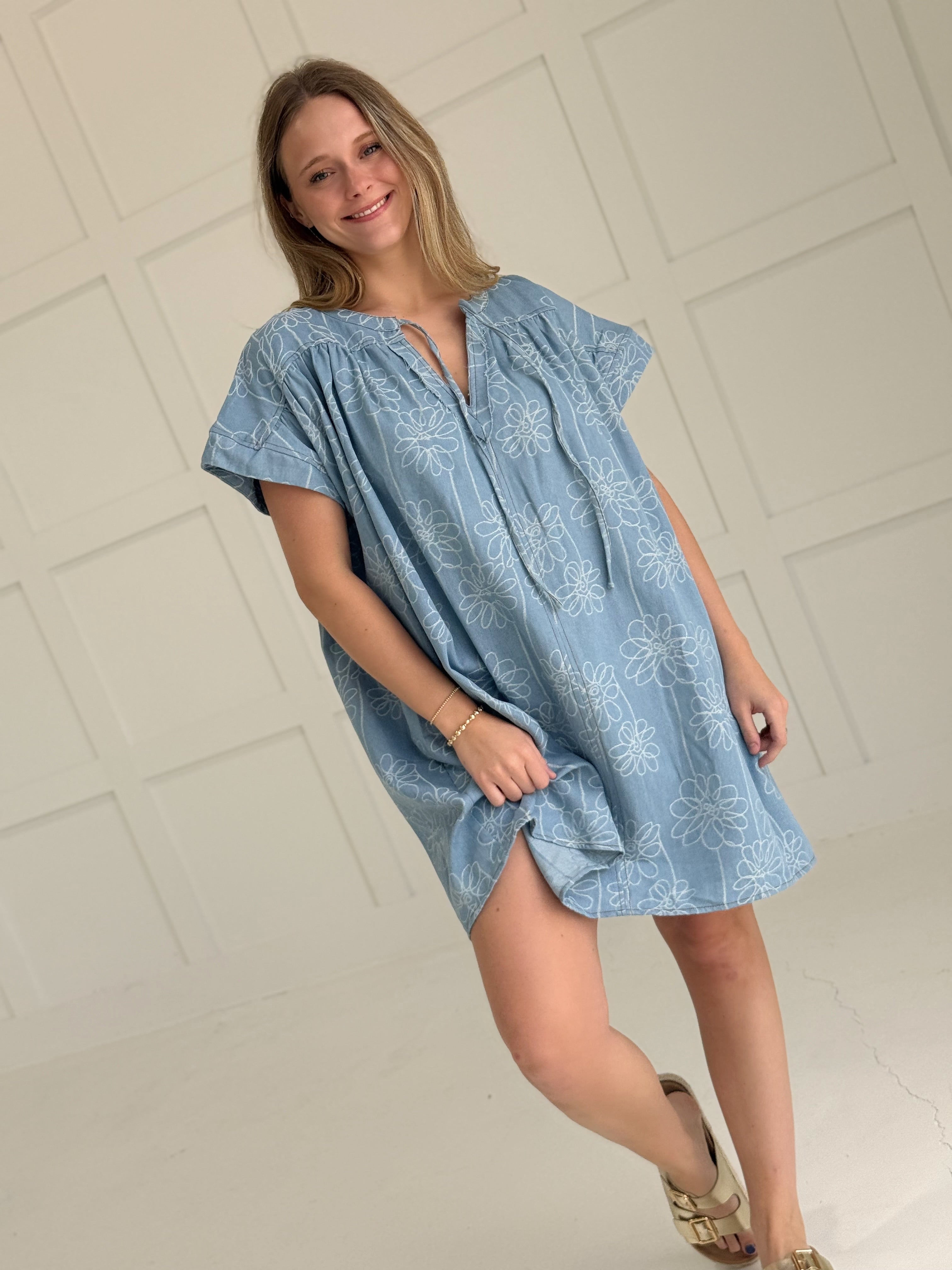 Jennings Denim Dress