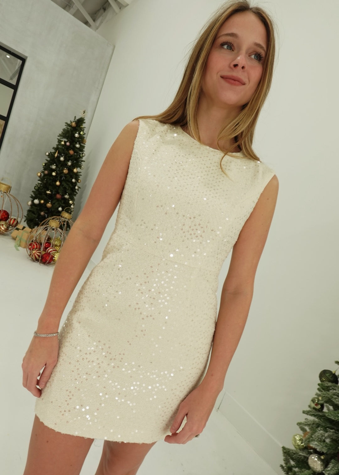 Sparkles That Shine Mini Dress