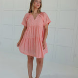 The Horizon Mini Dress