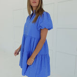 Chaney Mini Dress - Blue