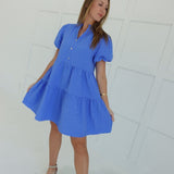 Chaney Mini Dress - Blue