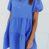 Chaney Mini Dress - Blue
