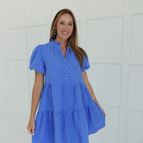 Chaney Mini Dress - Blue