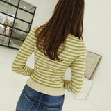 Verna Striped Sweater - Light Olive