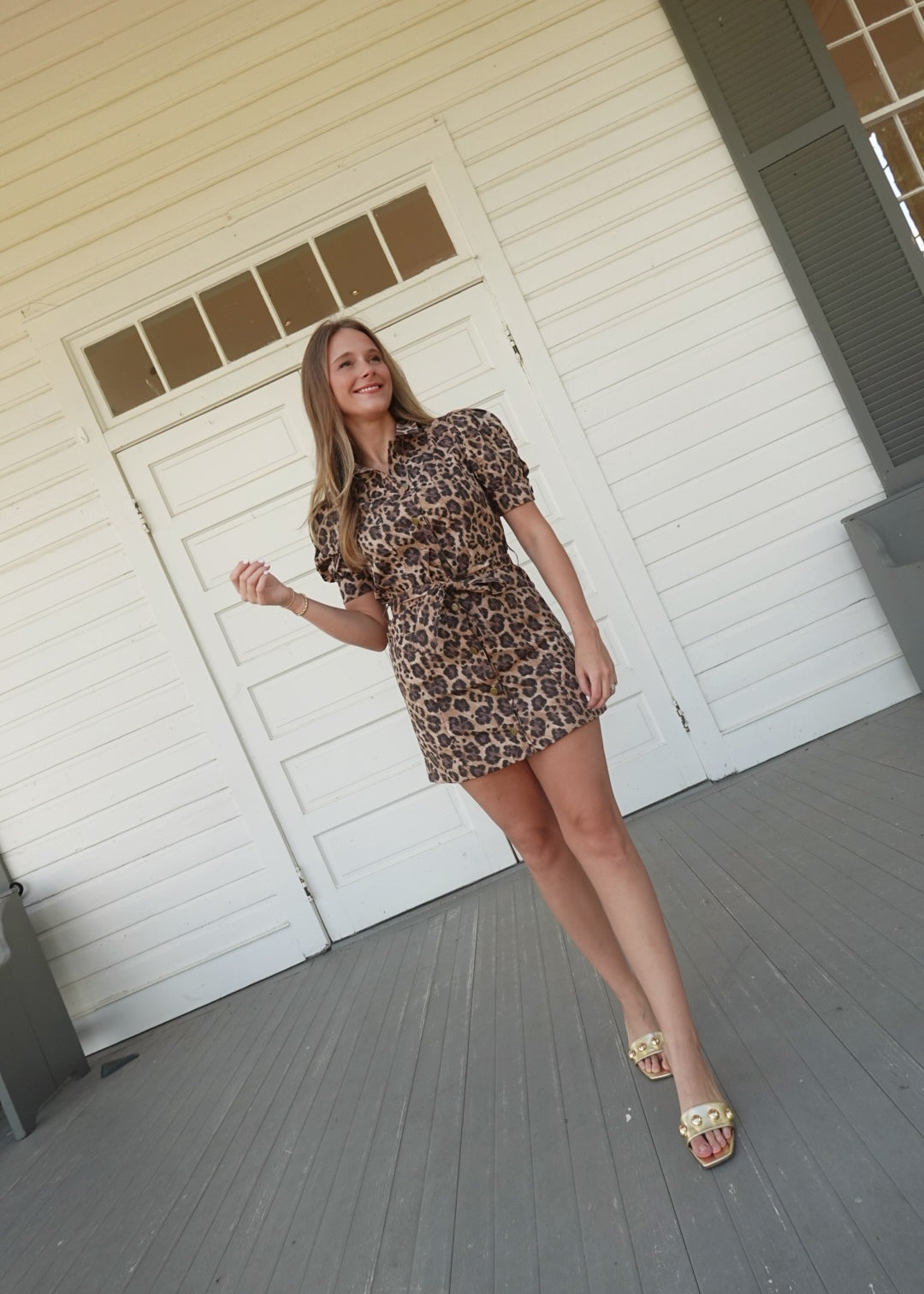Stassi Leopard Dress