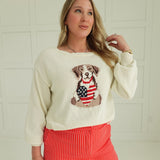 Good All-American Boy Sweater