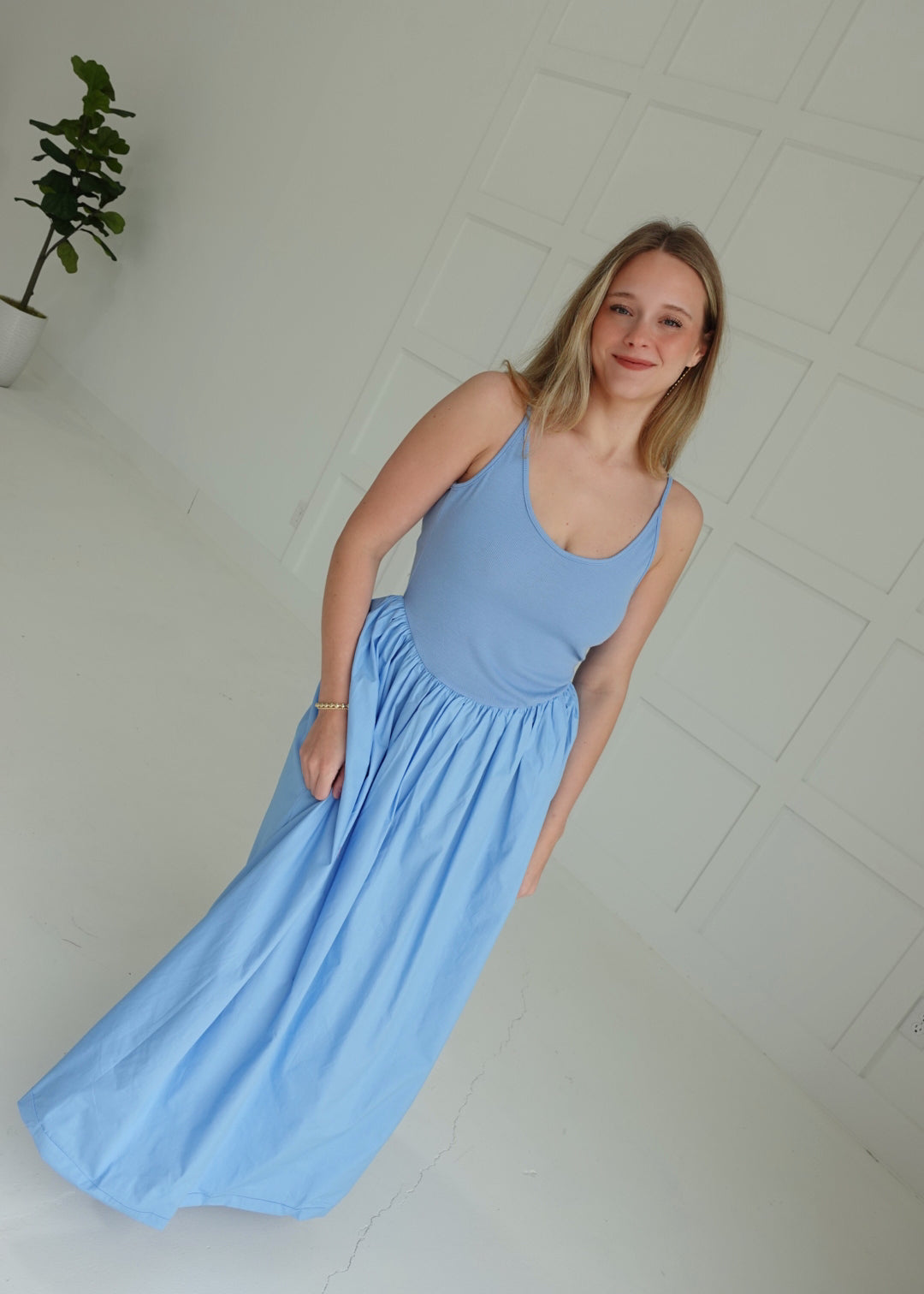 So Posh Poplin Dress