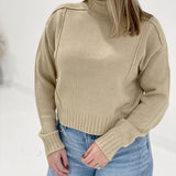 Reverting Back Sweater - Taupe *CM