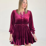 Dream Big Velvet Dress - Burgundy